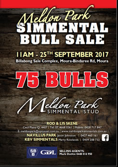 Meldon Park Simmentals 2017 Bull Sale Catalogue